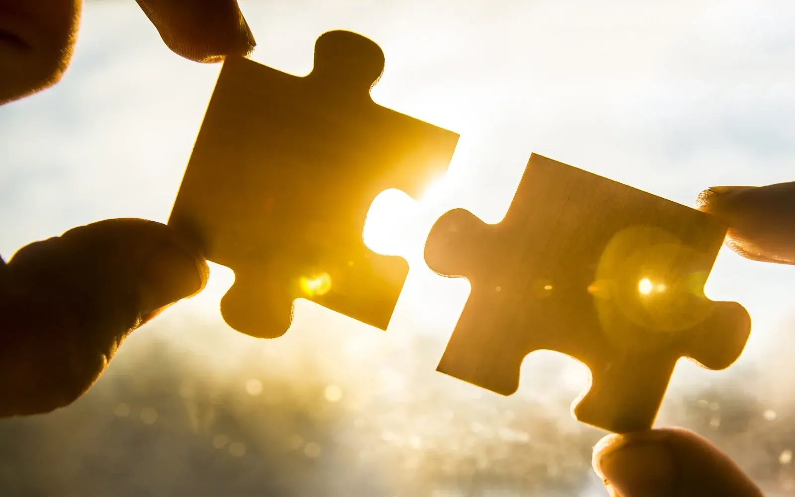 © Maradon333/shutterstock